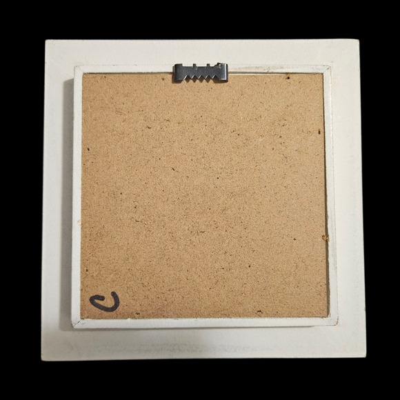 Pair White Framed Bird Wall Art Prints Bluebird Goldfinch Cottage Farmhouse Deco - Picture 3 of 5